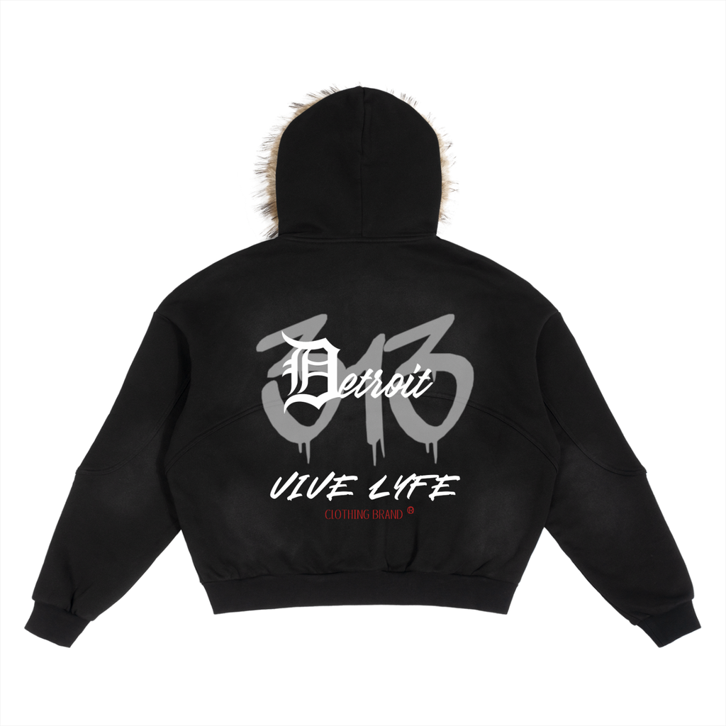 hoodie,jacket,cold,winter,fall,cold in the d,vive lyfe,fgv,detachable,sun fade 